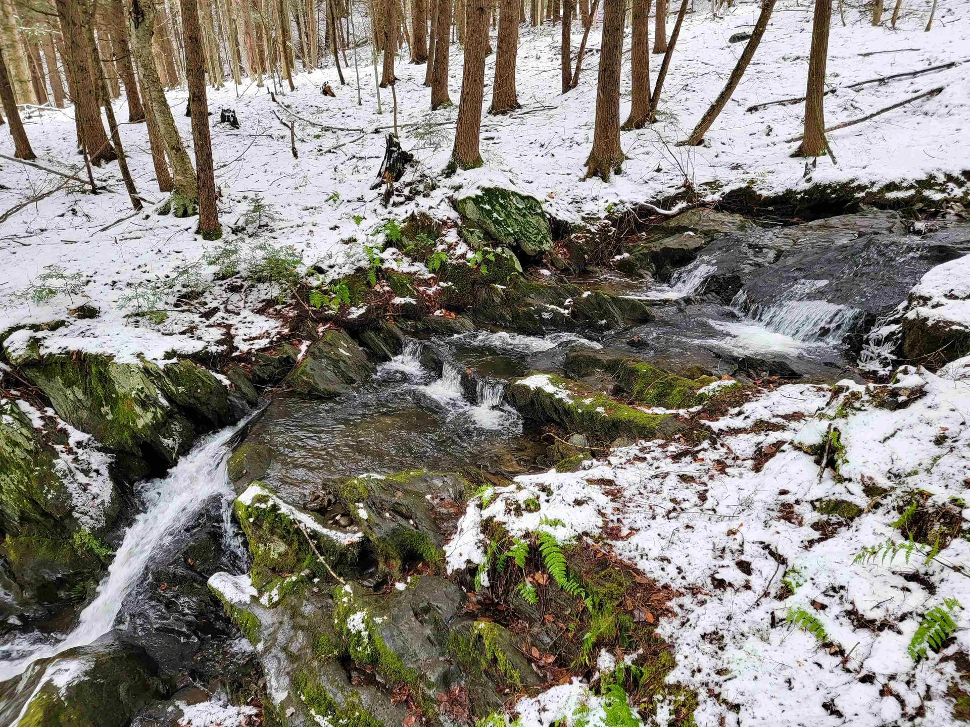 167 High Meadow Road Stowe VT 05672