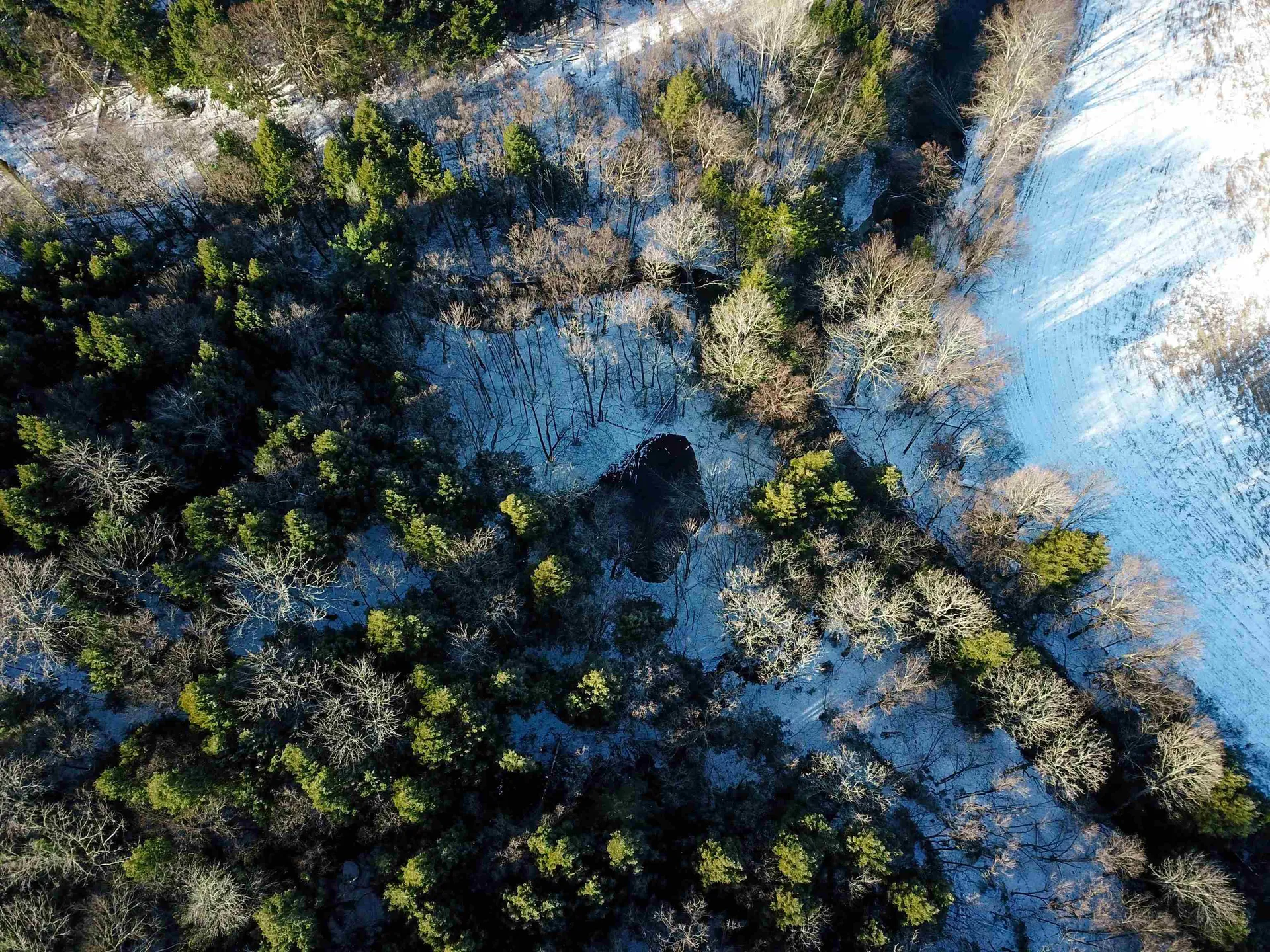 167 High Meadow Road Stowe VT 05672