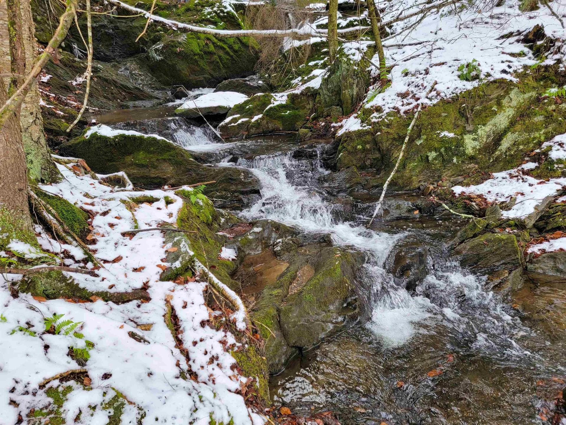 167 High Meadow Road Stowe VT 05672