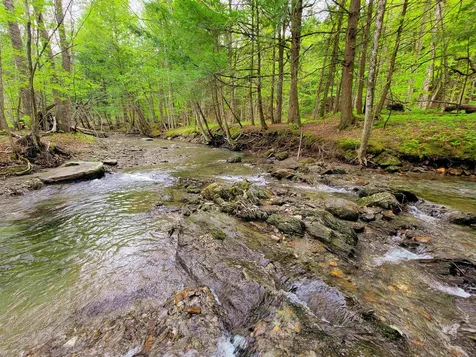 167 High Meadow Road Stowe VT 05672