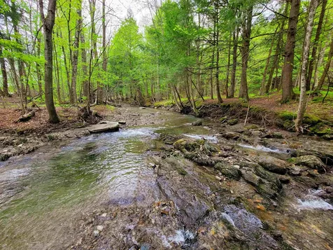 167 High Meadow Road Stowe VT 05672