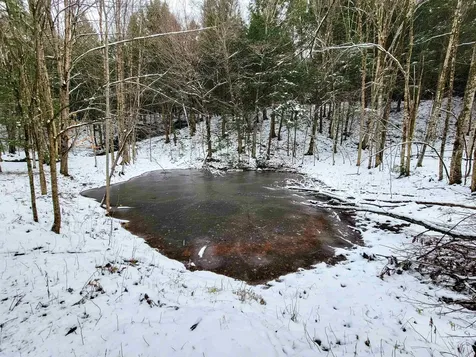 167 High Meadow Road Stowe VT 05672