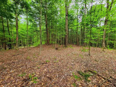 167 High Meadow Road Stowe VT 05672
