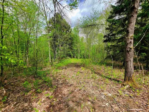 167 High Meadow Road Stowe VT 05672