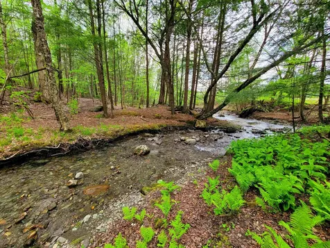 167 High Meadow Road Stowe VT 05672
