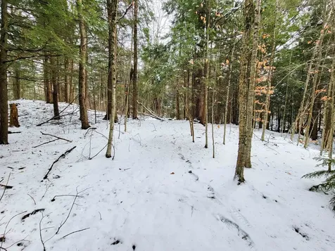 167 High Meadow Road Stowe VT 05672