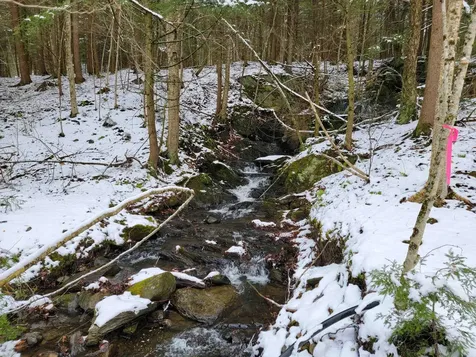 167 High Meadow Road Stowe VT 05672