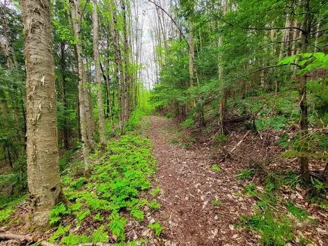 167 High Meadow Road Stowe VT 05672