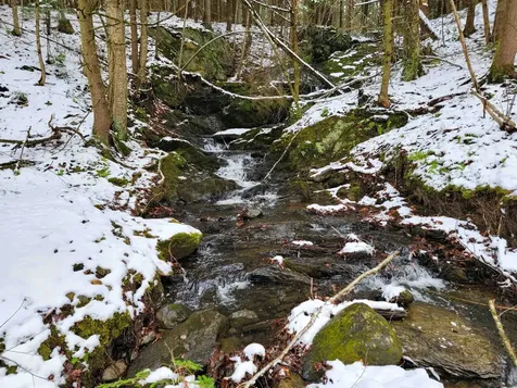 167 High Meadow Road Stowe VT 05672