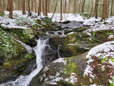 167 High Meadow Road Stowe VT 05672