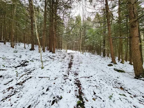 167 High Meadow Road Stowe VT 05672