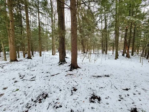 167 High Meadow Road Stowe VT 05672