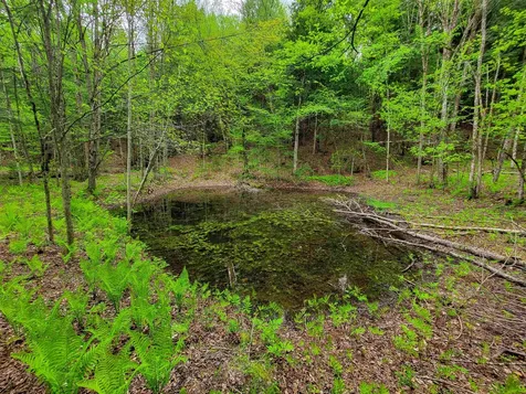 167 High Meadow Road Stowe VT 05672