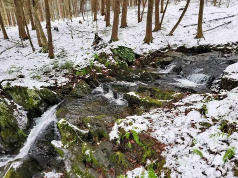 167 High Meadow Road Stowe VT 05672