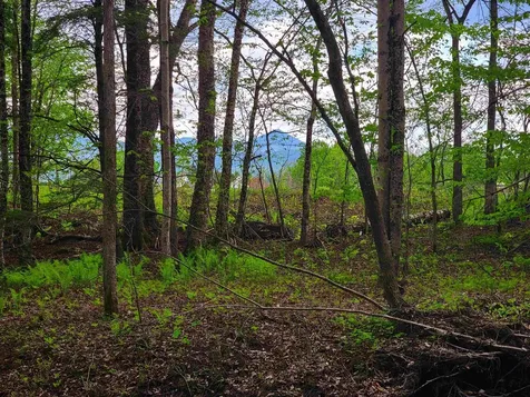 167 High Meadow Road Stowe VT 05672