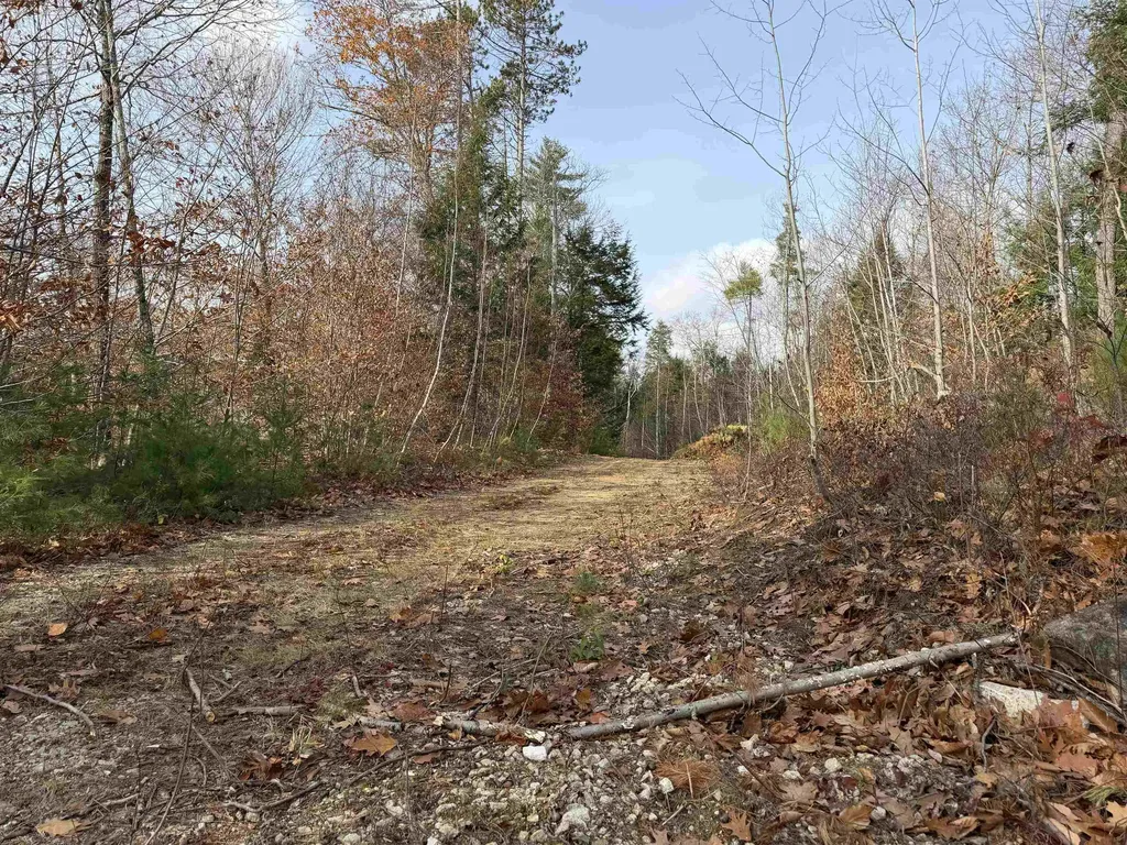 Map 29 Lot 5-1 Middleton Road Milton NH 03851