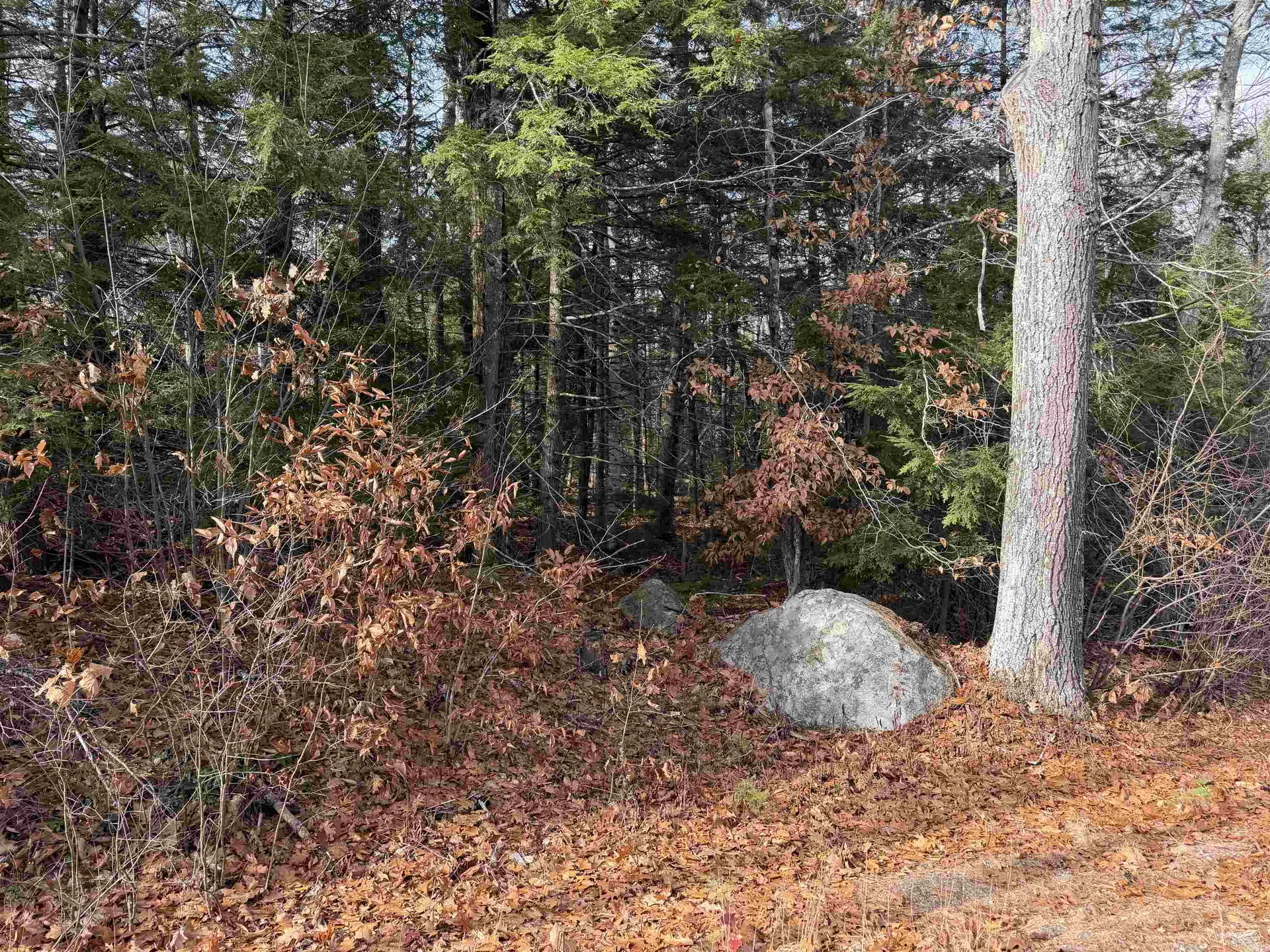 Map 29 Lot 5-1 Middleton Road Milton NH 03851