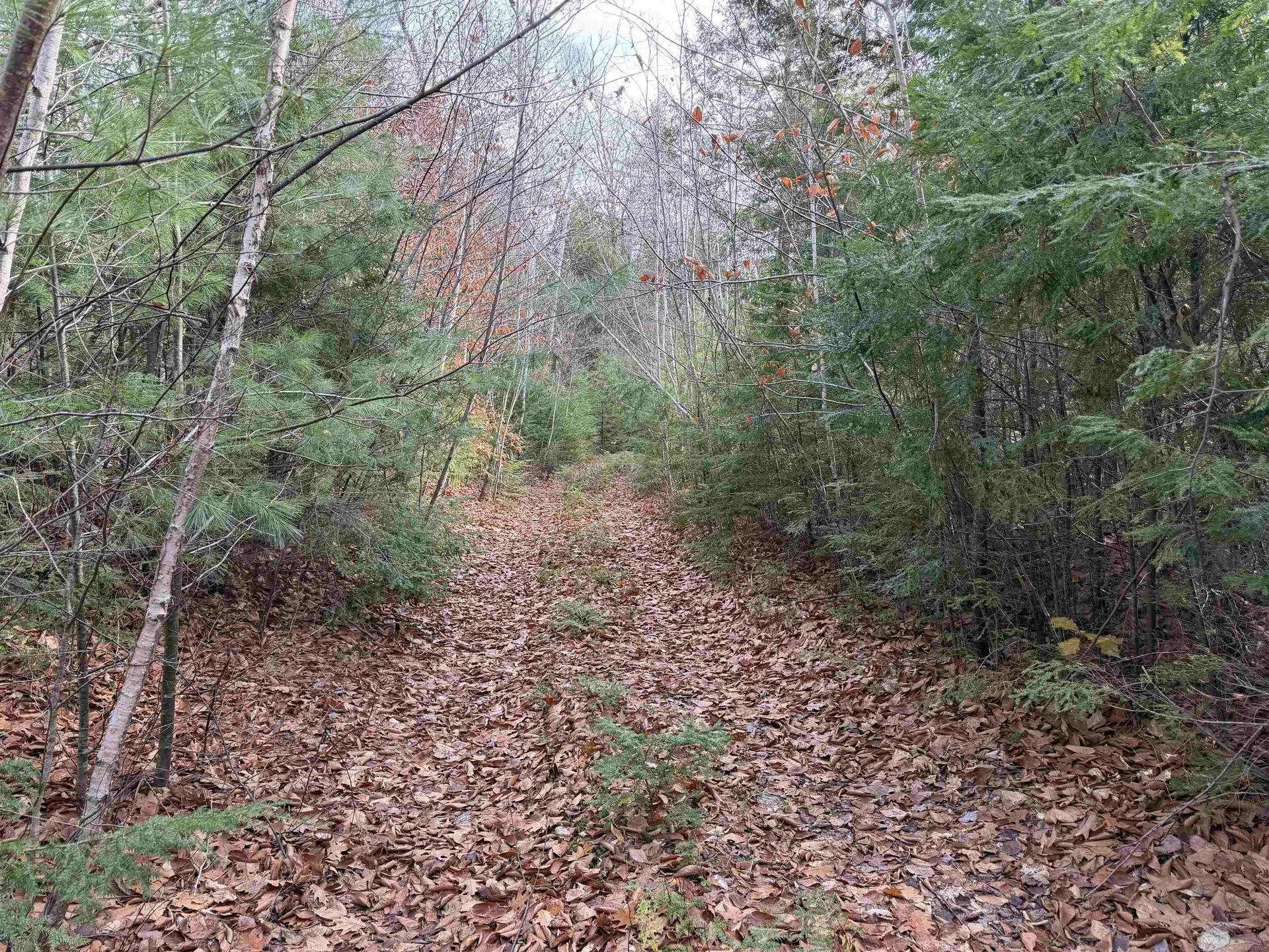 Map 29 Lot 5-1 Middleton Road Milton NH 03851