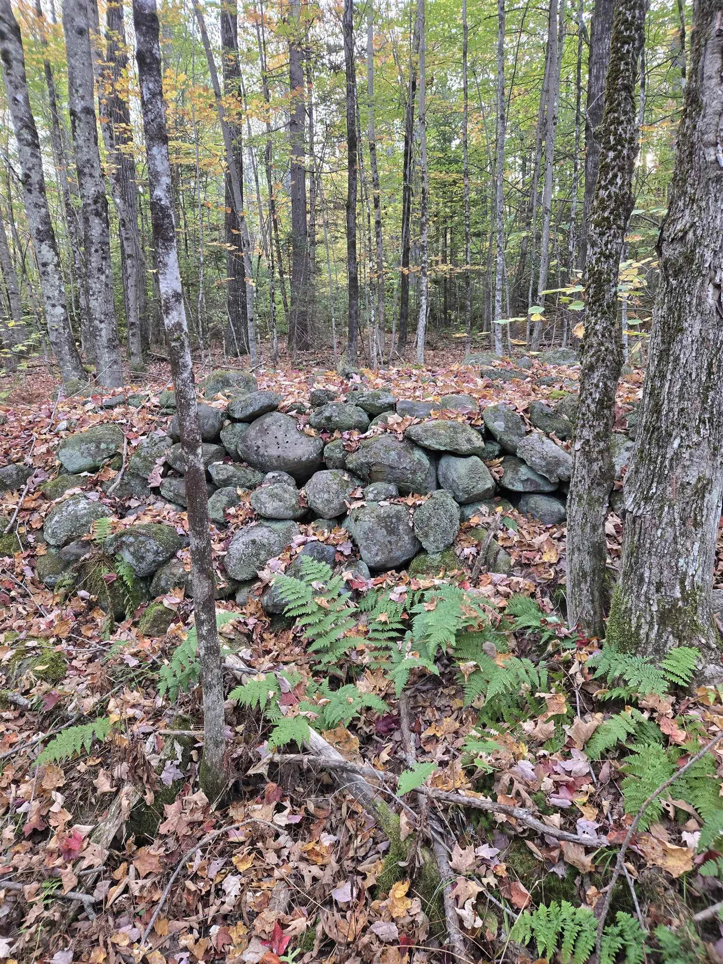 165 Bullocks Crossing Road Grafton NH 03240