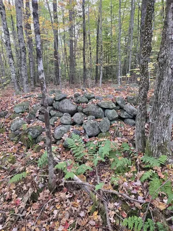 165 Bullocks Crossing Road Grafton NH 03240