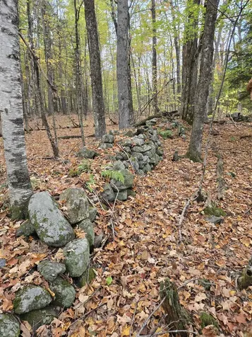 165 Bullocks Crossing Road Grafton NH 03240