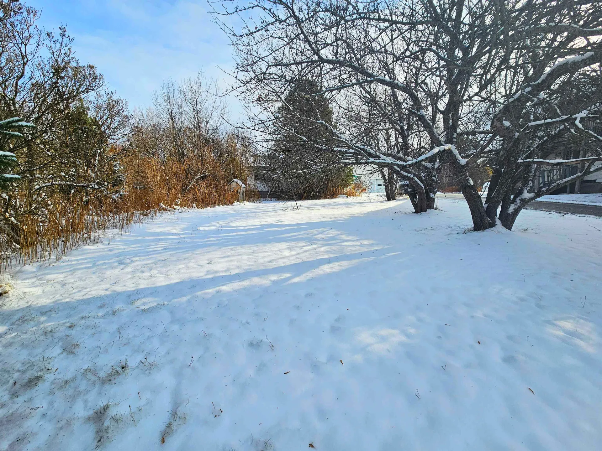 113 Marsh Road Norton VT 05907