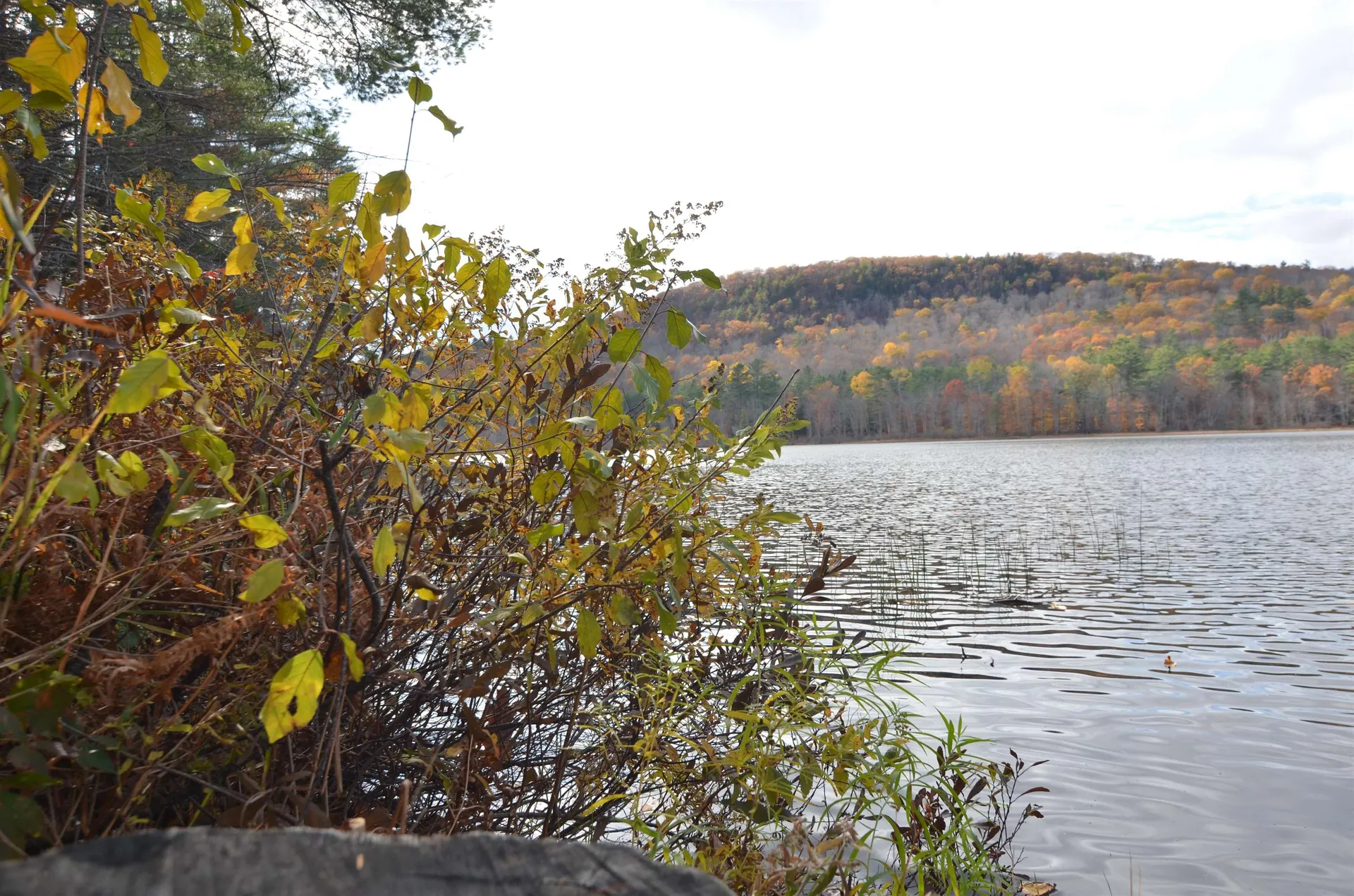 128 Stocker Pond Road Grantham NH 03753