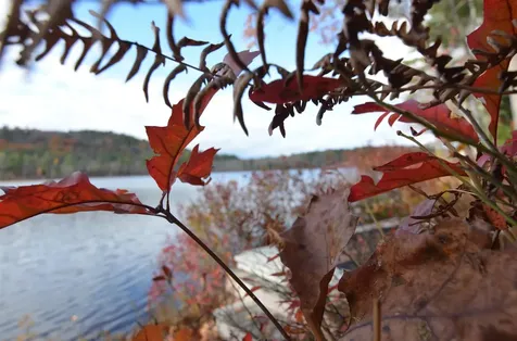 128 Stocker Pond Road Grantham NH 03753