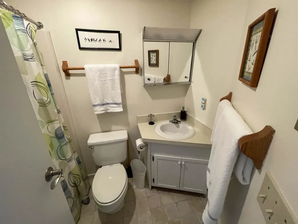 87 Snowside Drive Fayston VT 05673