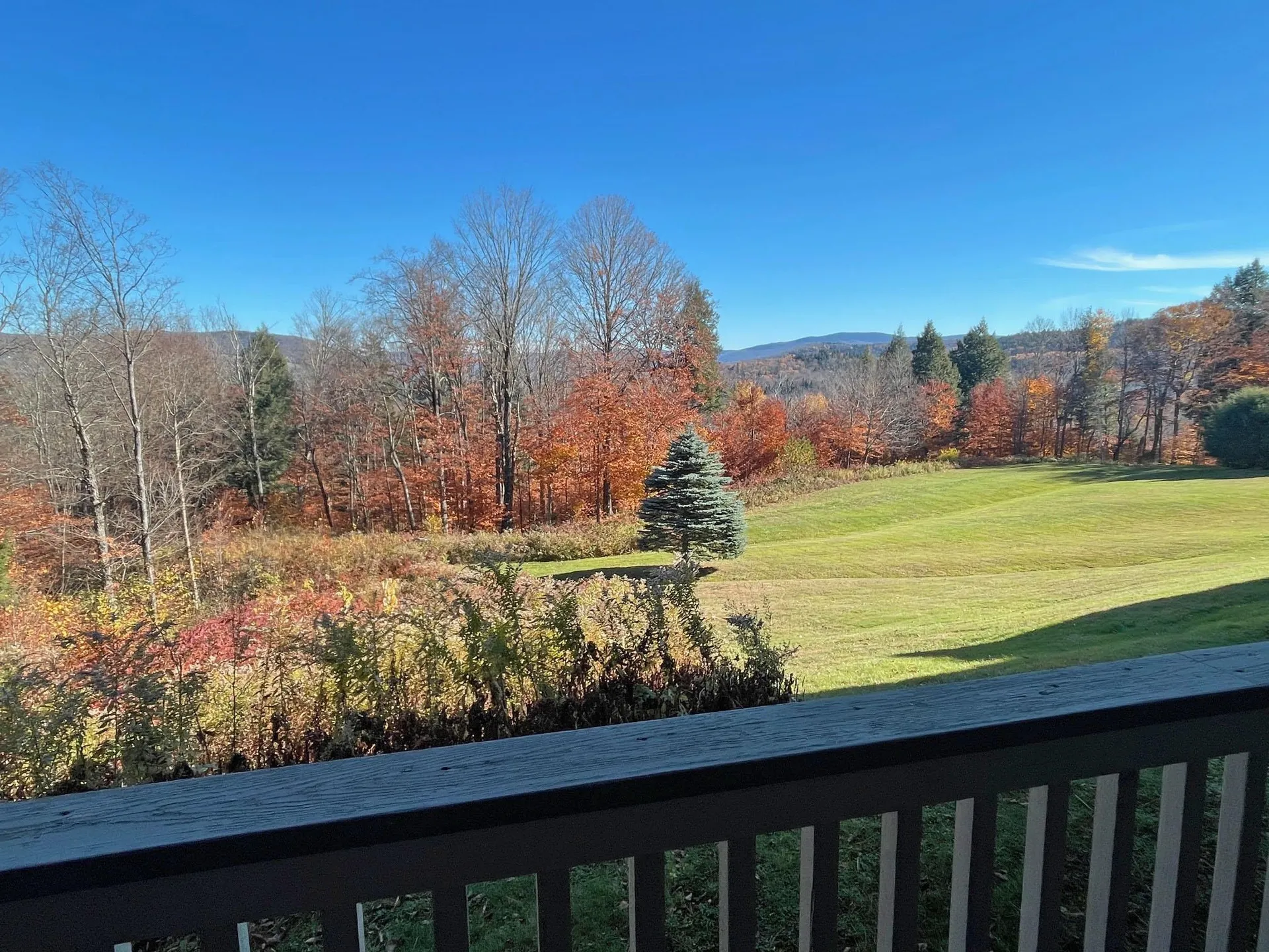 87 Snowside Drive Fayston VT 05673