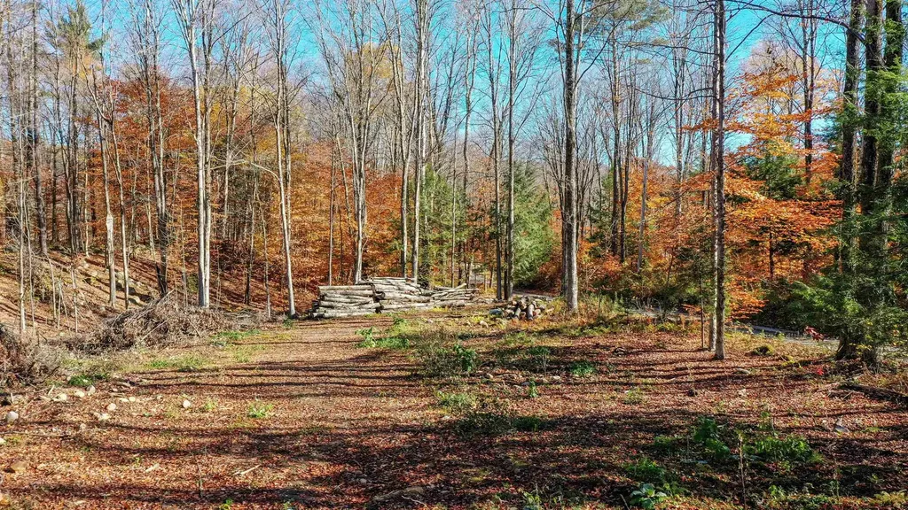 00 Lower Middle Road Chittenden VT 05763