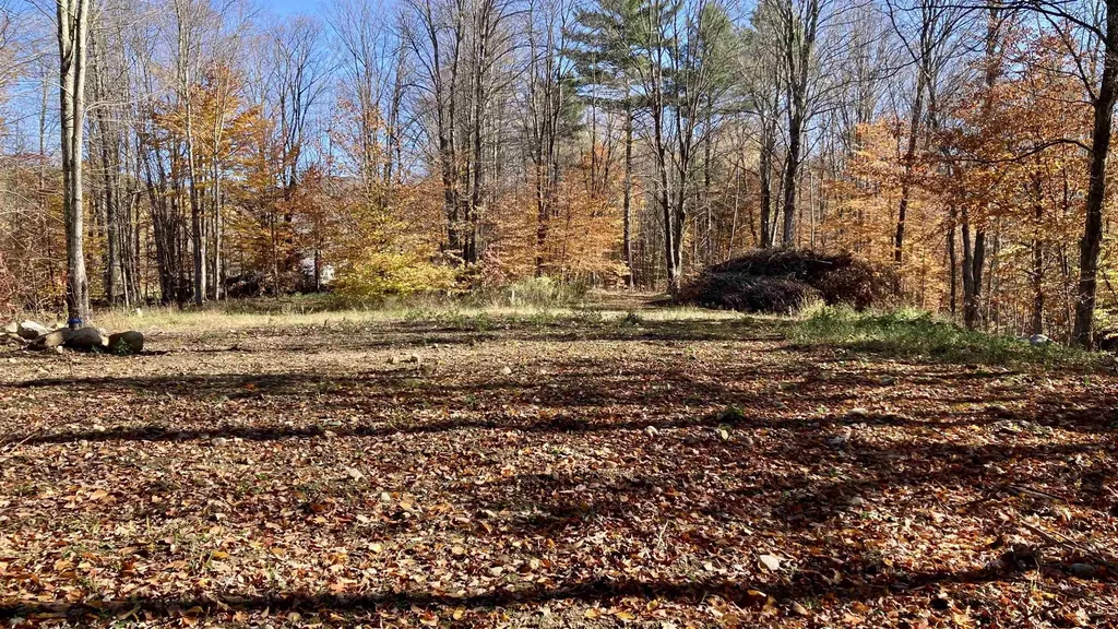 00 Lower Middle Road Chittenden VT 05763