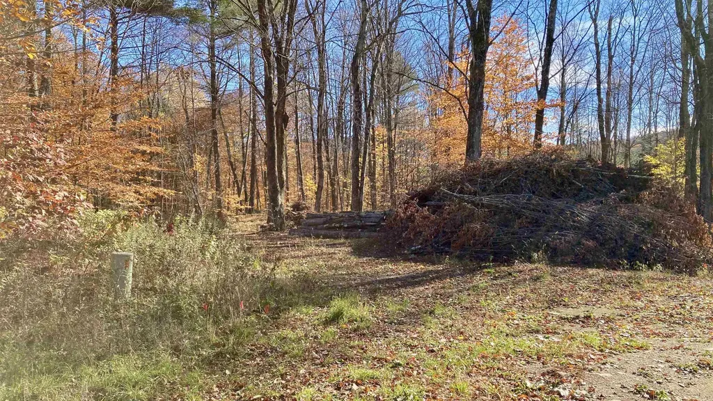 00 Lower Middle Road Chittenden VT 05763