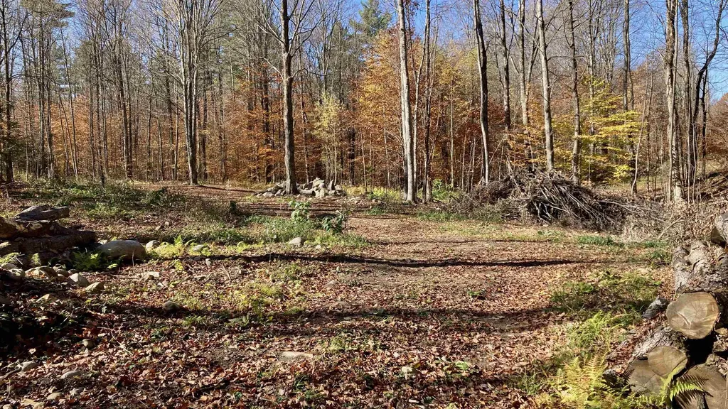 00 Lower Middle Road Chittenden VT 05763