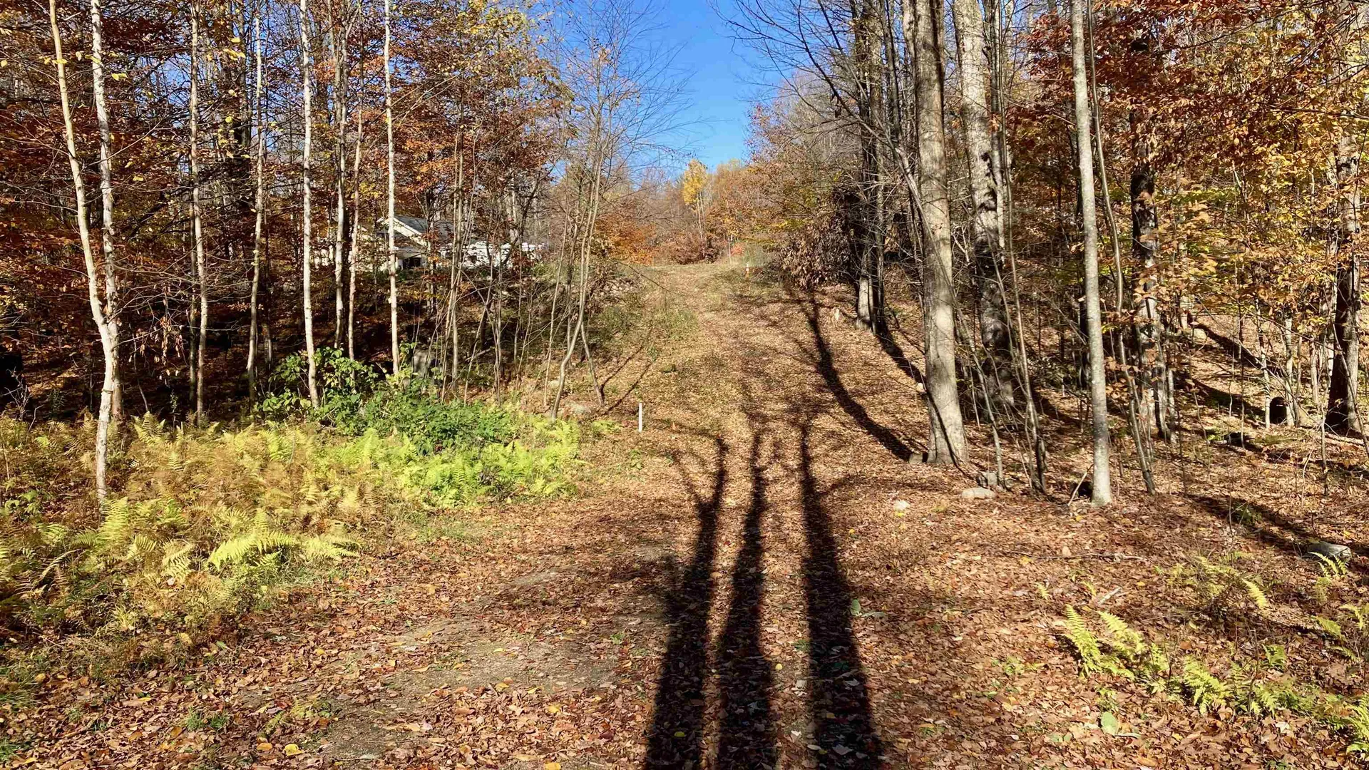 00 Lower Middle Road Chittenden VT 05763