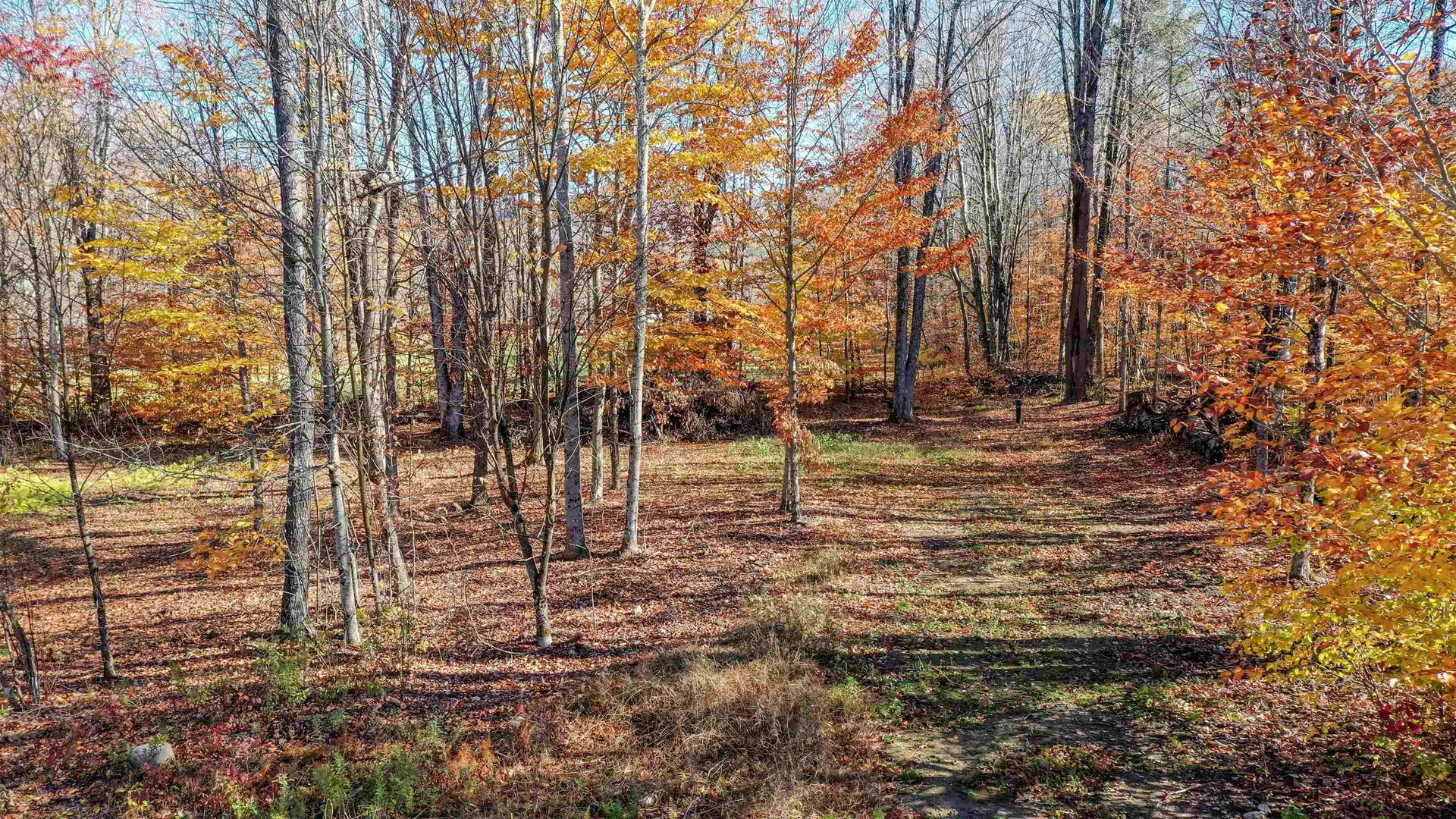 00 Lower Middle Road Chittenden VT 05763