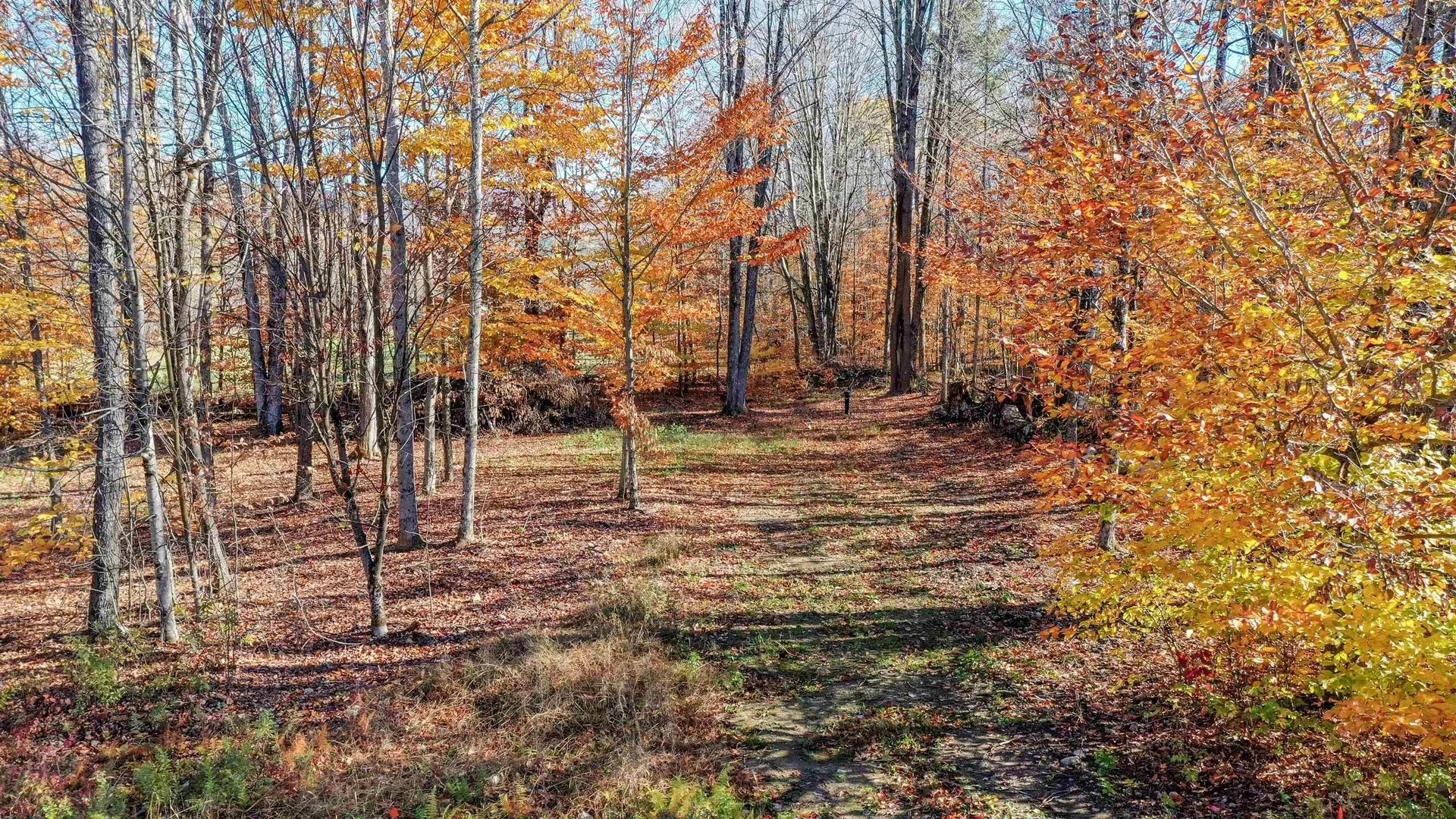 00 Lower Middle Road Chittenden VT 05763