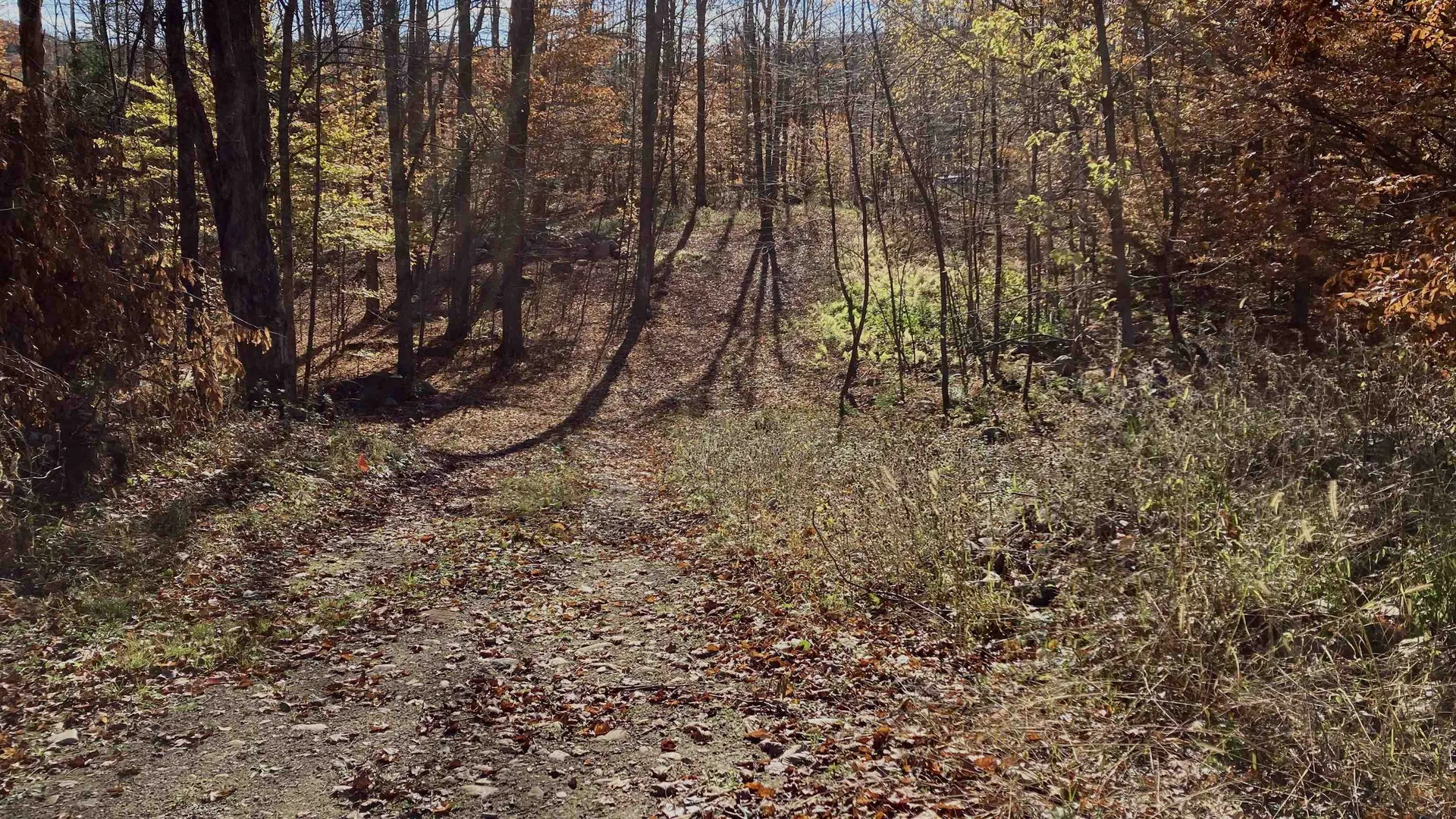 00 Lower Middle Road Chittenden VT 05763