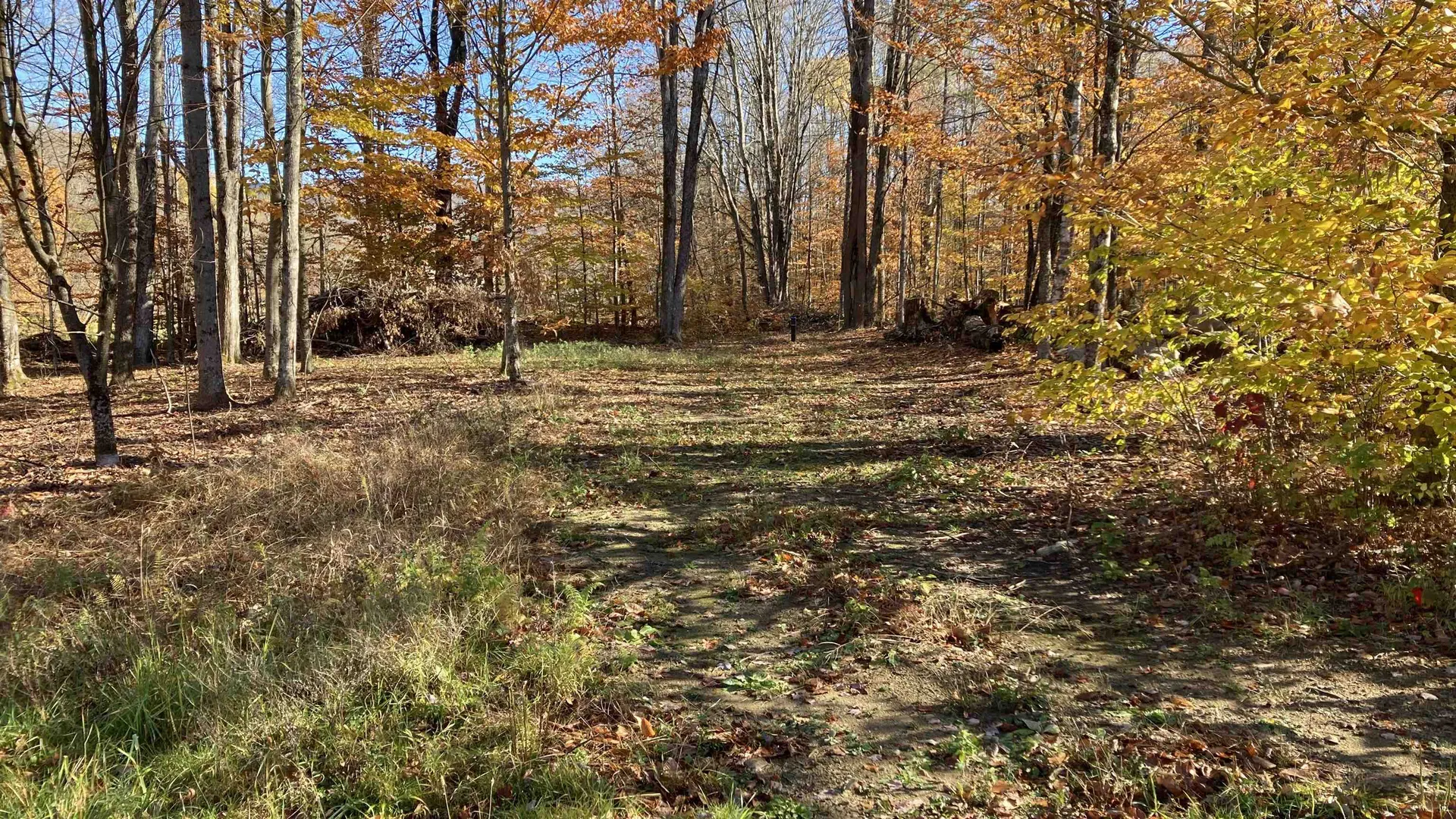 00 Lower Middle Road Chittenden VT 05763