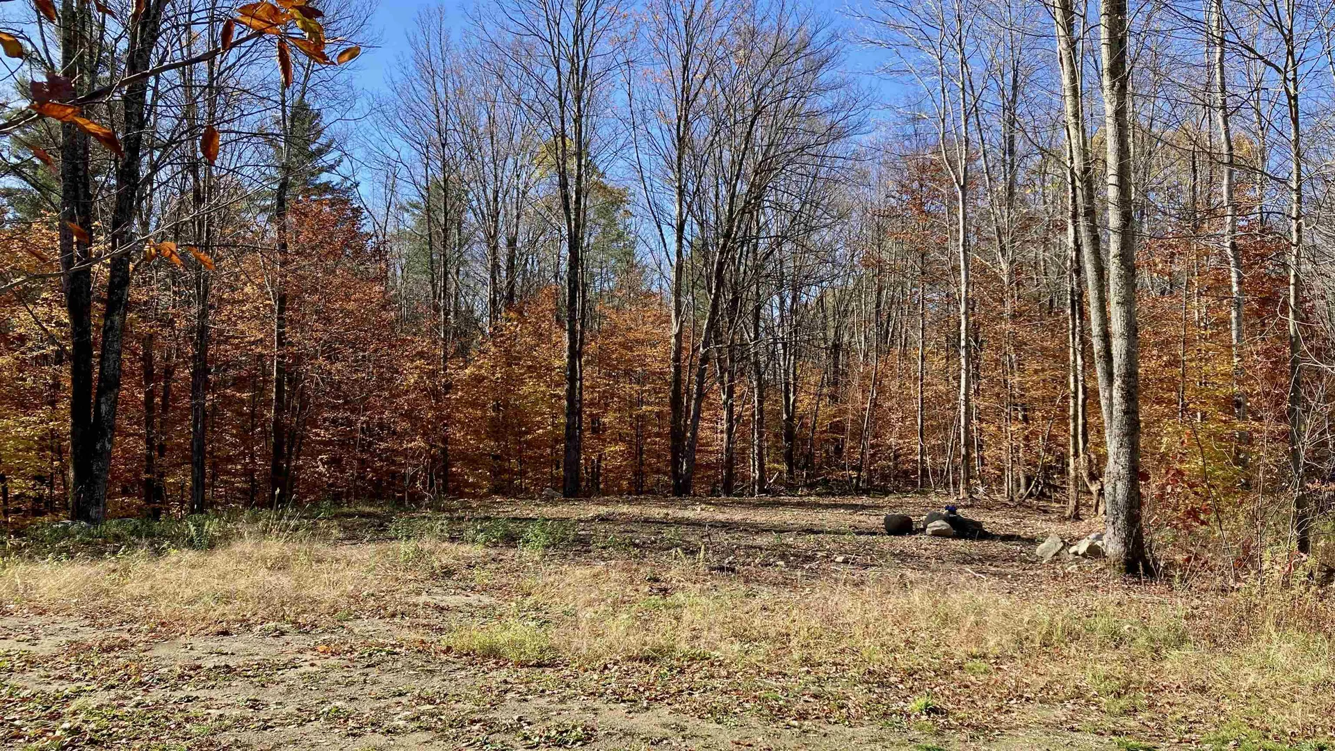 00 Lower Middle Road Chittenden VT 05763