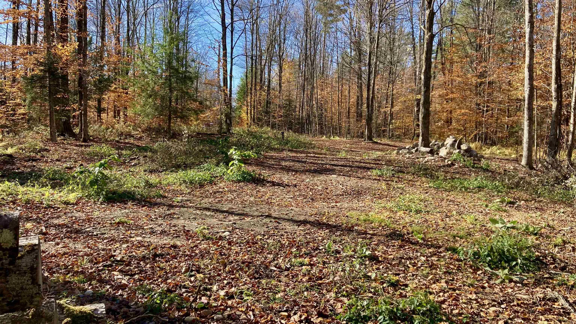 00 Lower Middle Road Chittenden VT 05763