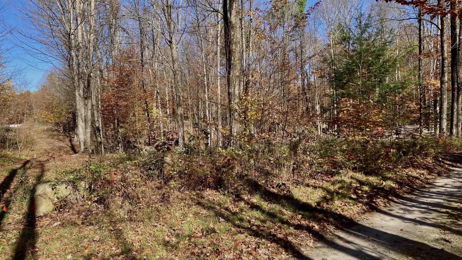 00 Lower Middle Road Chittenden VT 05763