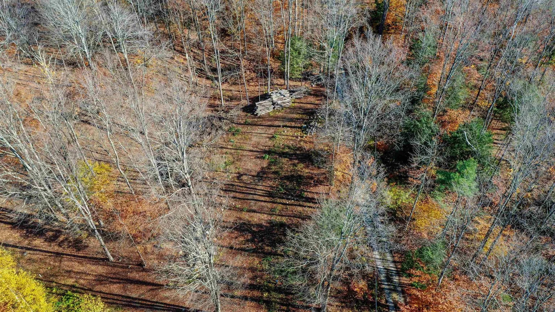 00 Lower Middle Road Chittenden VT 05763