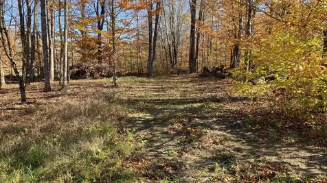 00 Lower Middle Road Chittenden VT 05763