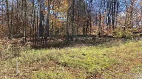 00 Lower Middle Road Chittenden VT 05763