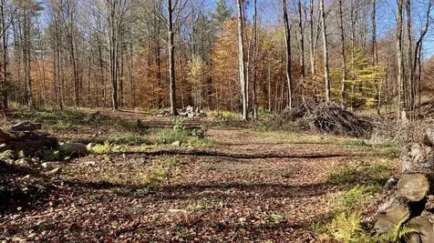 00 Lower Middle Road Chittenden VT 05763