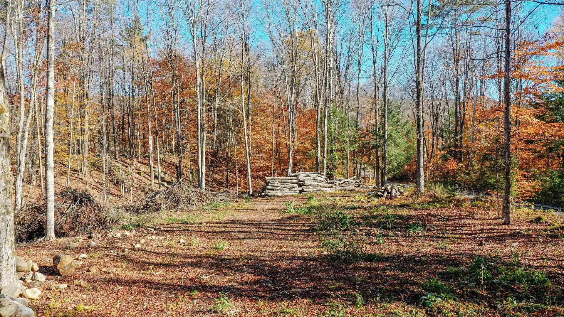 00 Pasquale Street Chittenden VT 05763