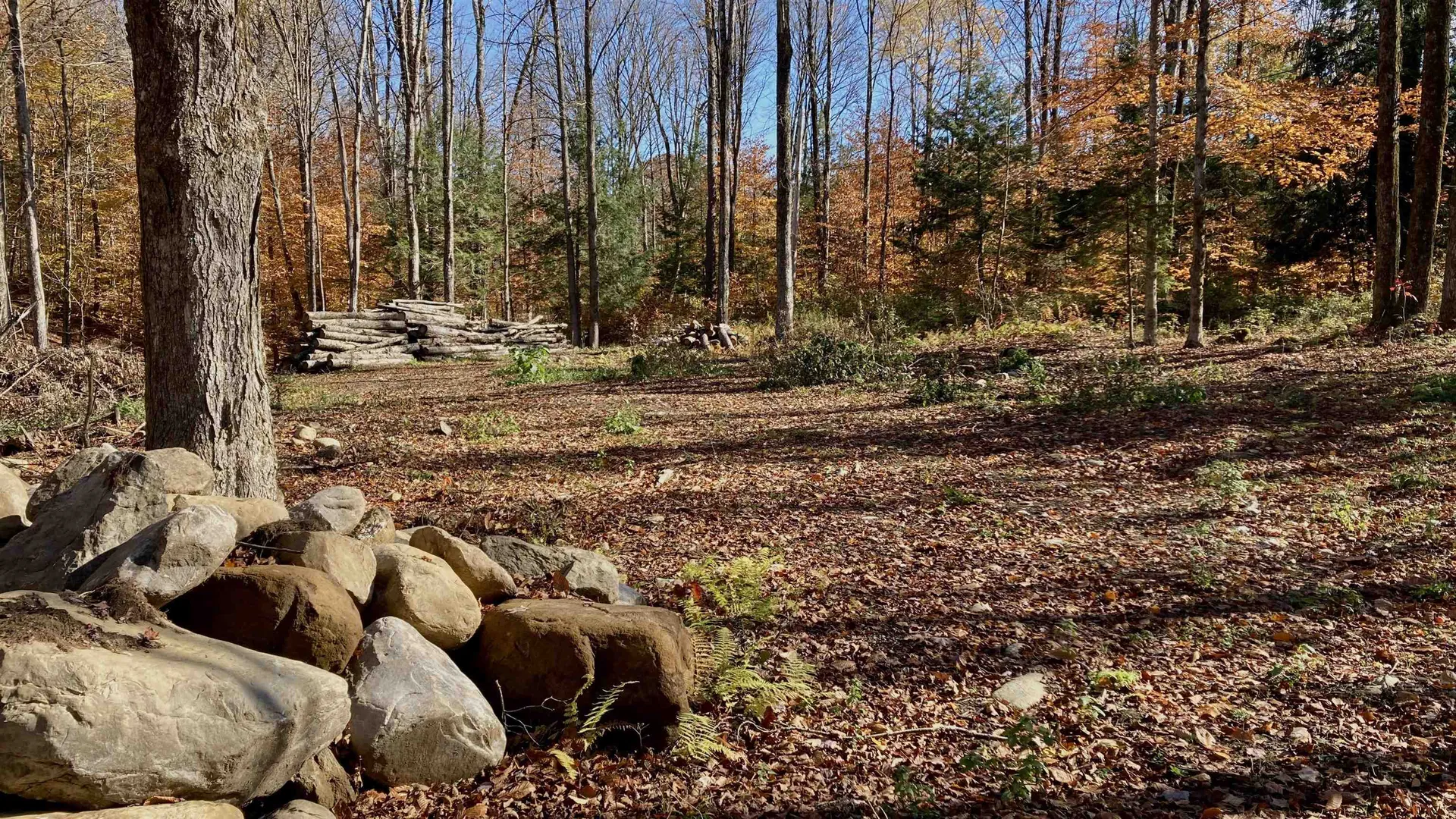 00 Pasquale Street Chittenden VT 05763