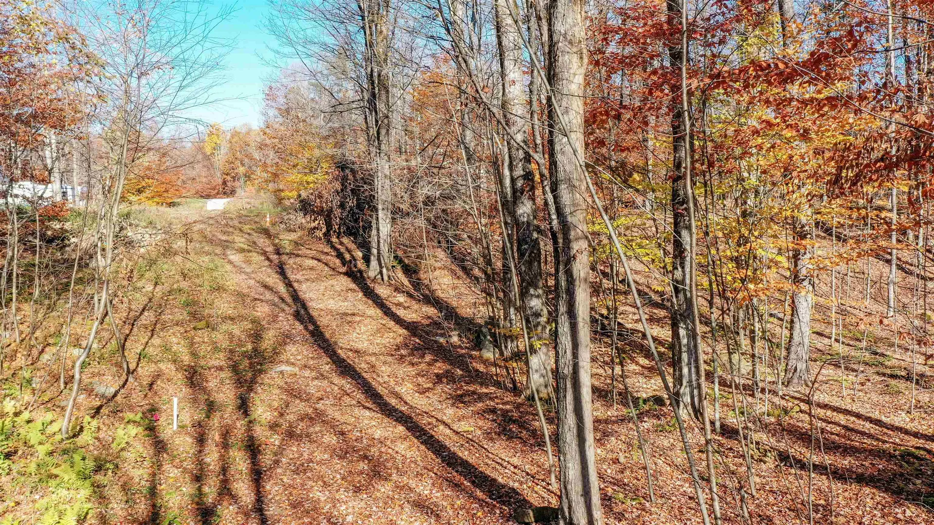 00 Pasquale Street Chittenden VT 07563