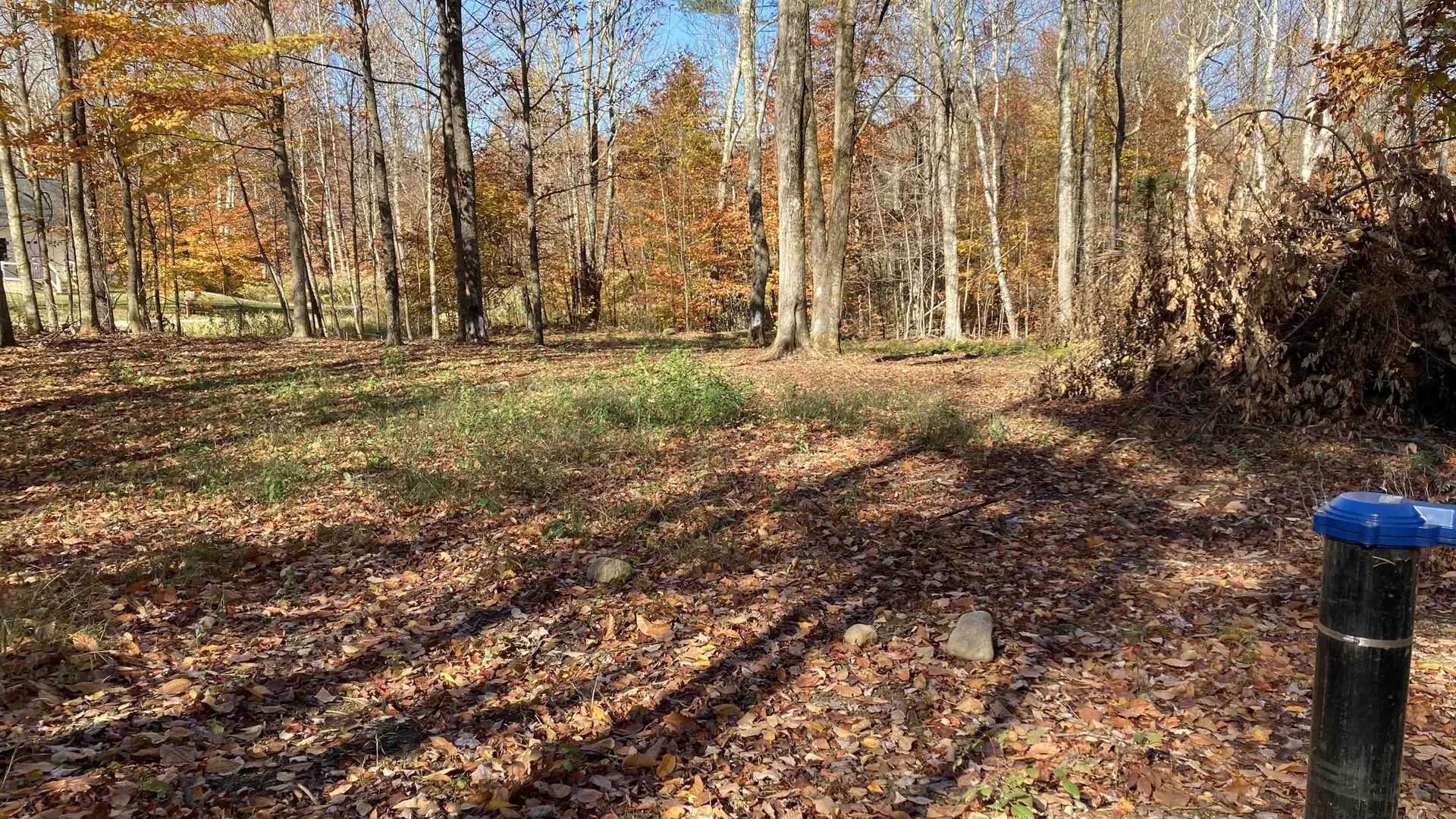 00 Pasquale Street Chittenden VT 07563